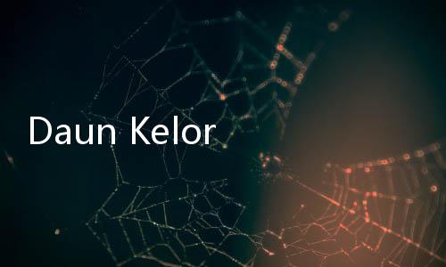 Daun Kelor Bisa Bantu Turunkan Berat Badan, Benarkah?