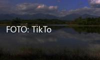 FOTO: TikToker Thailand Bikin Kain Motif Gajah Jadi Keren