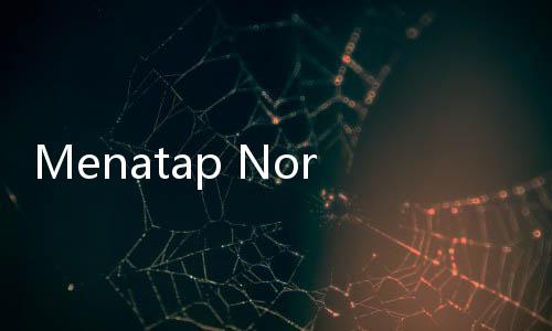Menatap North Cape, Kecantikan di Ujung Dunia Paling Utara