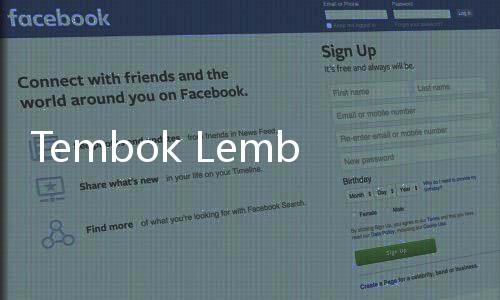 Tembok Lembap dan Mengelupas? Coba Lakukan 5 Cara Ini